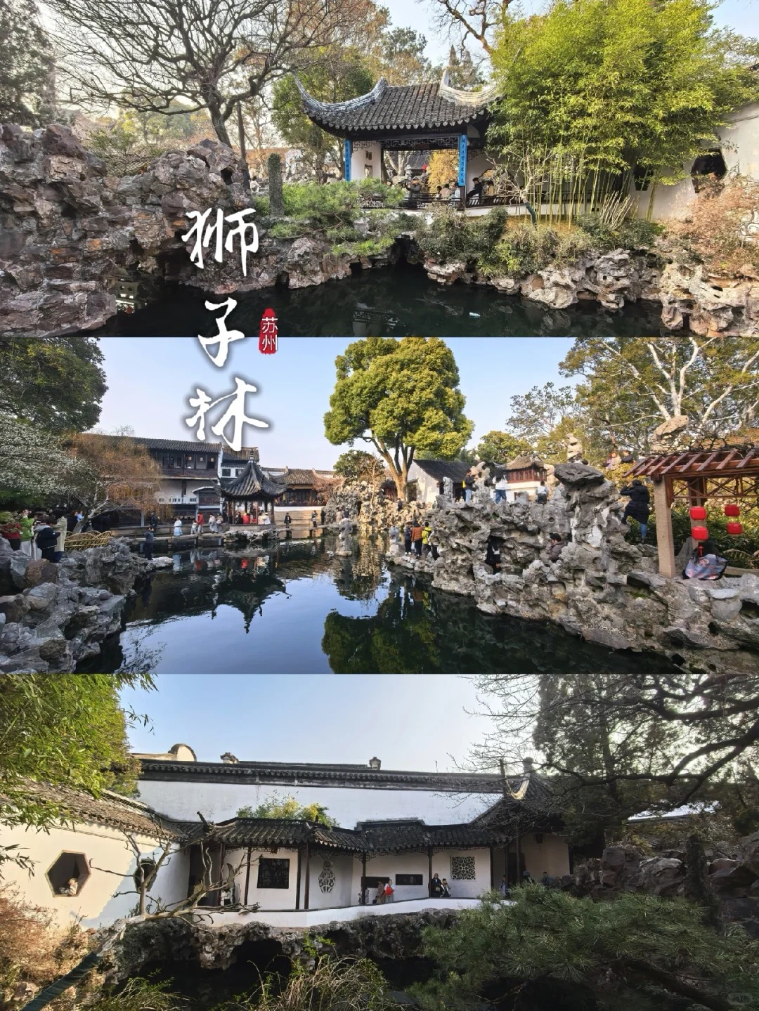 Suzhou Lion Grove Garden