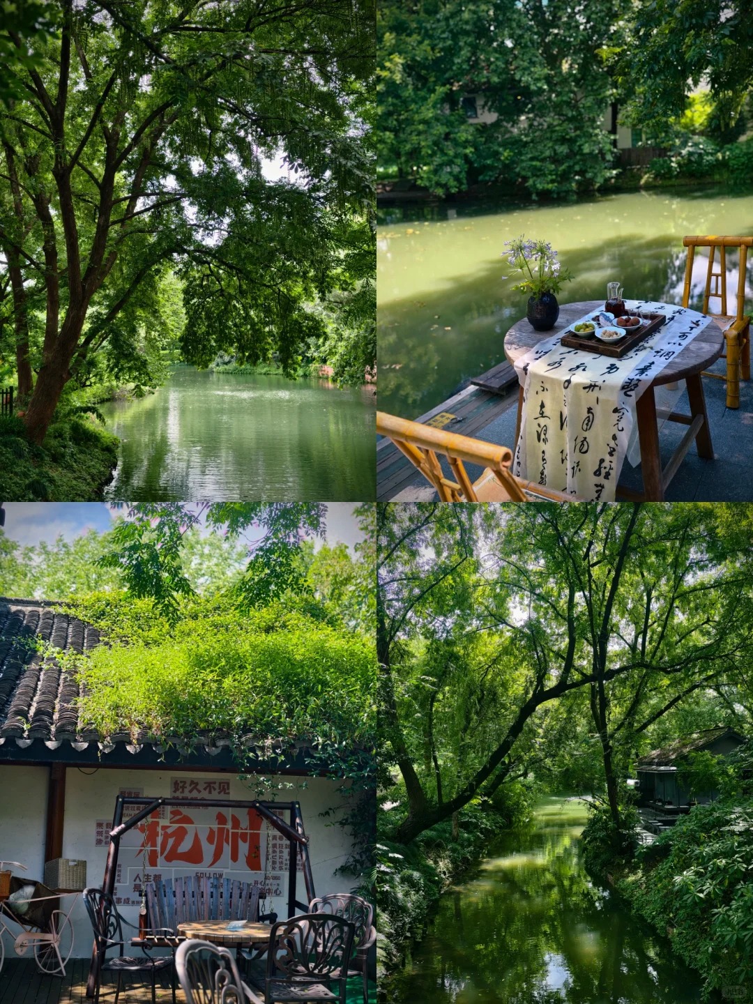 Lingyin Temple / Xixi Wetland Afternoon Tea